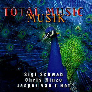 Chris Hinze / Scwab / Van't Hof · Chris Hinze / Scwab / Van't Hof-total Music Musik (CD) (2000)