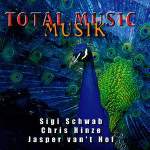 Cover for Chris Hinze / Scwab / Van't Hof · Chris Hinze / Scwab / Van't Hof-total Music Musik (CD) (2000)