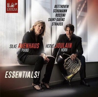 Essentials! - Herve Joulain - Music - COBRA - 8713897905007 - January 6, 2023