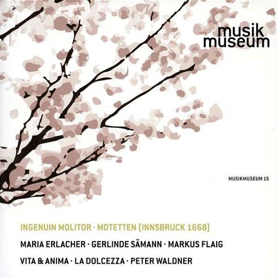 Cover for Sämann / Erlacher / Flaig / Skuplik / Steenbrink/+ · Motetten (CD) (2013)
