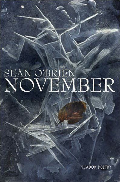 November - Sean O'Brien - Bücher - Pan Macmillan - 9780330535007 - 1. April 2011