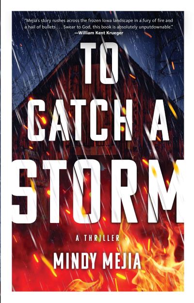 Cover for Mindy Mejia · To Catch a Storm (Book) (2023)