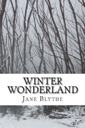 Jane Blythe · Winter Wonderland (Detective Parker Bell) (Volume 2) (Paperback Book) (2014)