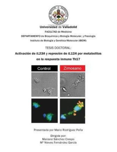 Cover for Mario Rodriguez Pena · Activacion de Il23a Y Represion de Il12a Por Metabolitos En La Respuesta Inmune Th17 (Paperback Book) (2015)