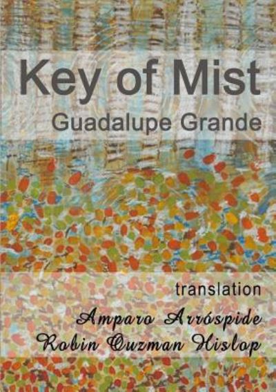 Cover for Guadalupe Grande · Key of Mist (Paperback Bog) (2016)