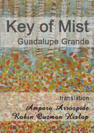 Cover for Guadalupe Grande · Key of Mist (Paperback Book) (2016)