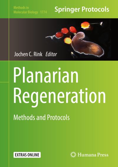 Planarian Regeneration: Methods and Protocols - Methods in Molecular Biology - - Books - Humana Press Inc. - 9781493978007 - June 19, 2018