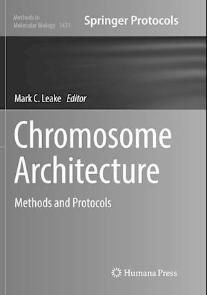 Cover for Chromosome Architecture: Methods and Protocols - Methods in Molecular Biology (Paperback Book) [Softcover reprint of the original 1st ed. 2016 edition] (2018)