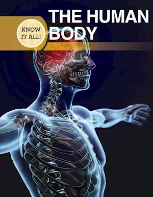 Cover for Moira Butterfield · The Human Body (Hardcover Book) (2015)