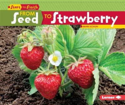 Cover for Mari Schuh · From Seed to Strawberry (Paperback Book) (2016)