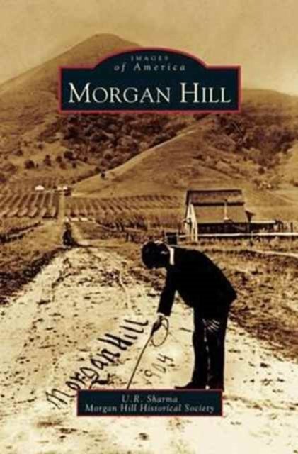 Cover for U R Sharma · Morgan Hill (Inbunden Bok) (2005)