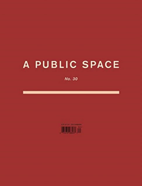 Cover for Brigid Hughes · A Public Space No. 30 (Paperback Book) (2022)