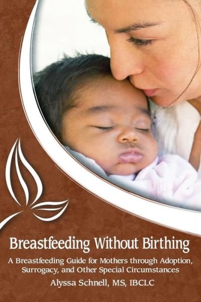 Cover for Alyssa Schnell · Breastfeeding Without Birthing: A Breastfeeding Guide for Mothers through Adoption, Surrogacy, and Other Special Circumstances (Paperback Book) (2013)