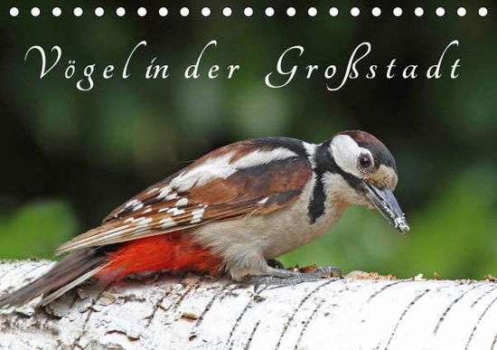 Cover for Konieczka · Vögel in der Großstadt (Tisch (Book)