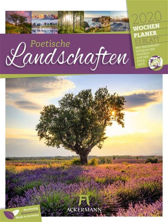 Cover for Birgit Holzer · Sachtexte lesen und verstehen - leicht gemacht (Paperback Book) (2015)