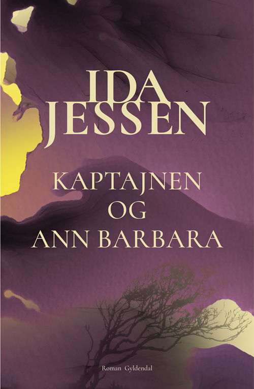 Cover for Ida Jessen · Kaptajnen og Ann Barbara (Gebundesens Buch) [1. Ausgabe] (2020)