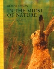 Cover for Björn Larsson · In the midst of nature (Kort) (2006)
