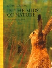 Cover for Björn Larsson · In the midst of nature (Map) (2006)