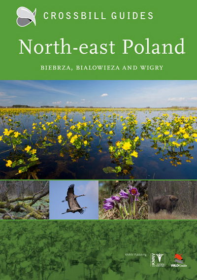 Cover for Dirk Hilbers · North-East Poland: Biebrza, Bialowieza and Wigry (Paperback Book) (2013)