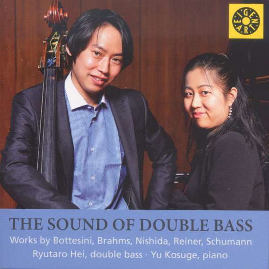 Cover for Bottesini / Hei / Kosuge · Sound of Double Bass (CD) (2016)