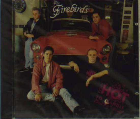 Cover for Firebirds · Too Hot to Handle (CD) (2008)