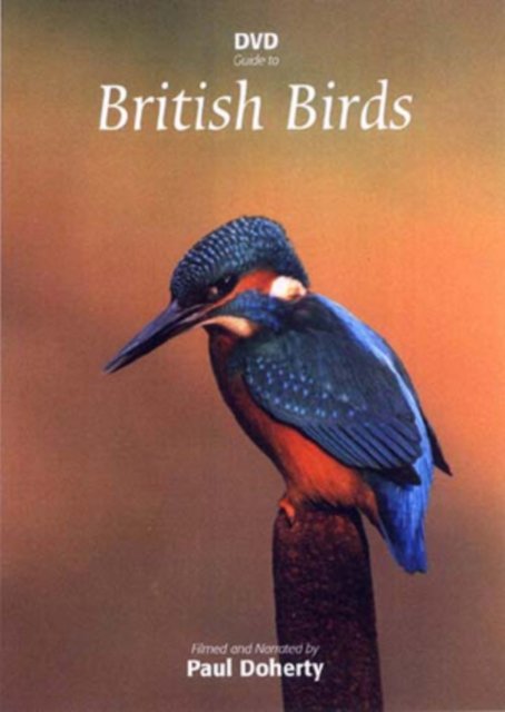 Cover for British Birds · British Birds 3 Dvd Set (DVD) (2010)