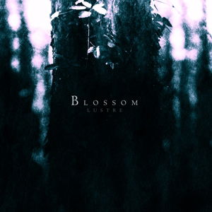 Lustre · Blossom (CD) [Digipak] (2015)