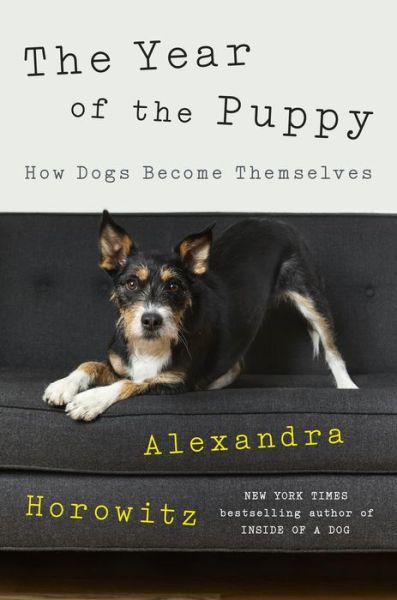 Cover for Alexandra Horowitz · The Year of the Puppy (Hardcover Book) (2022)