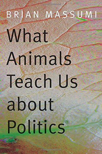 Cover for Brian Massumi · What Animals Teach Us about Politics (Taschenbuch) (2014)