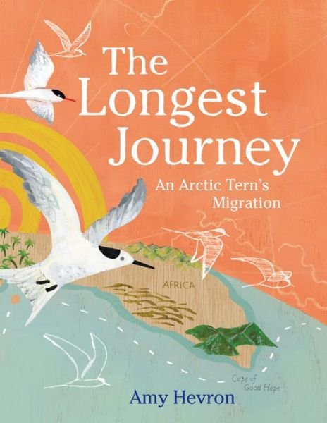 Amy Hevron · The Longest Journey: An Arctic Tern's Migration (Innbunden bok) (2022)