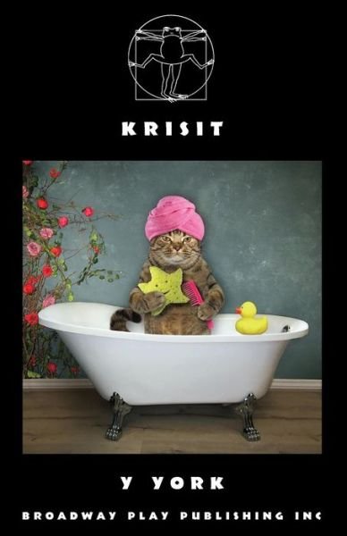 Cover for Y York · Krisit (Paperback Book) (2019)