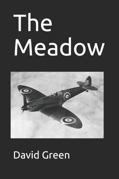 Cover for David Green · The Meadow (Paperback Book) (2019)