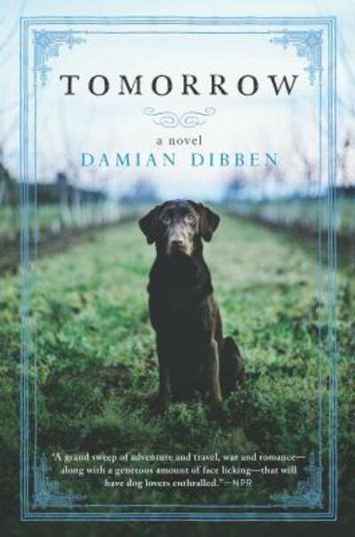 Cover for Damian Dibben · Tomorrow A Novel (Paperback Book) (2019)
