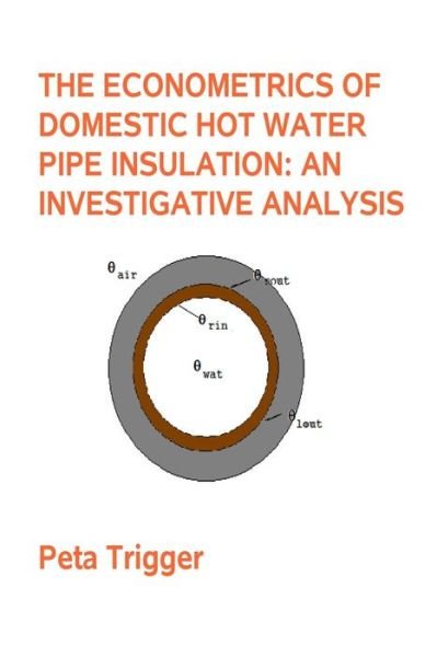 Cover for Peta Trigger · The Econometrics of Domestic Hot Water Pipe Insulation (Paperback Bog) (2014)