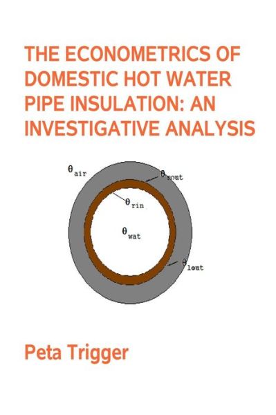 Cover for Peta Trigger · The Econometrics of Domestic Hot Water Pipe Insulation (Paperback Bog) (2014)