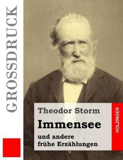 Cover for Theodor Storm · Immensee (Grossdruck) (Paperback Book) (2016)