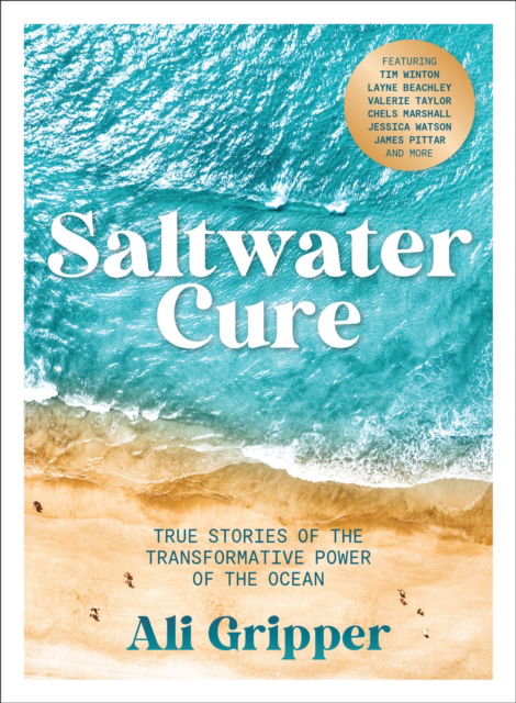 Cover for Ali Gripper · Saltwater Cure: True stories of the transformative power of the ocean (Paperback Book) (2024)