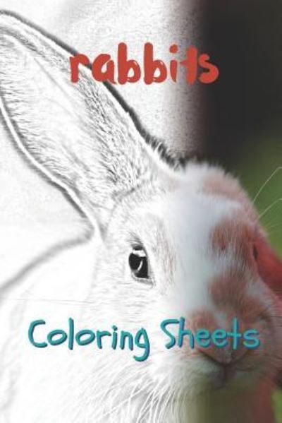 Cover for Julian Smith · Rabbit Coloring Sheets (Pocketbok) (2019)