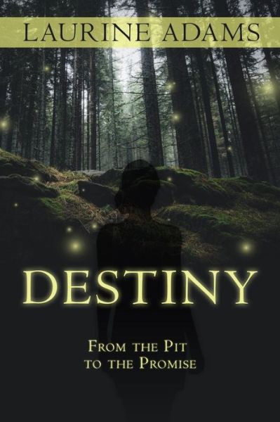 Cover for Laurine Adams · Destiny (Paperback Book) (2016)