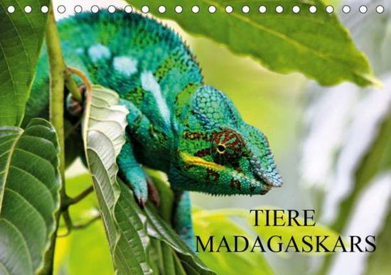 Cover for Baur · Tiere Madagaskars (Tischkalender 2 (Book)