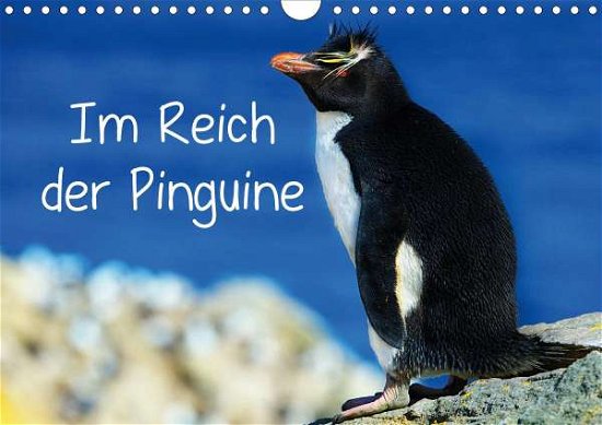 Im Reich der Pinguine (Wandkalend - Pfaff - Bøger -  - 9783671955008 - 