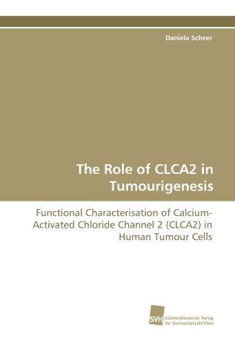 Cover for Daniela Scheer · The Role of Clca2 in Tumourigenesis: Functional Characterisation of Calcium-activated Chloride Channel 2 (Clca2) in Human Tumour Cells (Paperback Book) (2010)