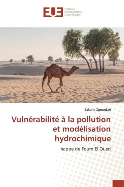 Cover for Zgourdah Zakaria · Vulnerabilite a La Pollution et Modelisation Hydrochimique (Paperback Book) (2018)