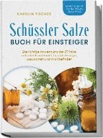 Cover for Karolin Fischer · Schüssler Salze Buch für Einsteiger: Die richtige Anwendung der 27 Salze individuell und leicht für mehr Energie, Gesundheit und Wohlbefinden - Schritt für Schritt von der Theorie bis zur Praxis (Book) (2023)