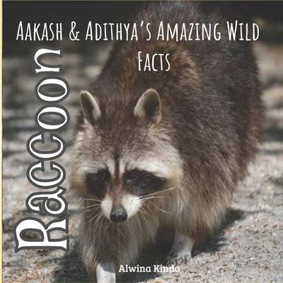 Alwina Kindo · Raccoon (Paperback Bog) (2020)