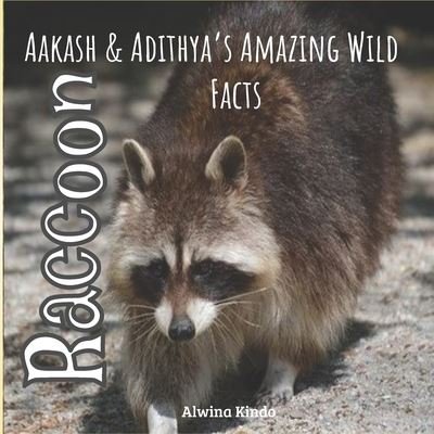 Raccoon - Alwina Kindo - Livros - Independently Published - 9798587043008 - 27 de dezembro de 2020