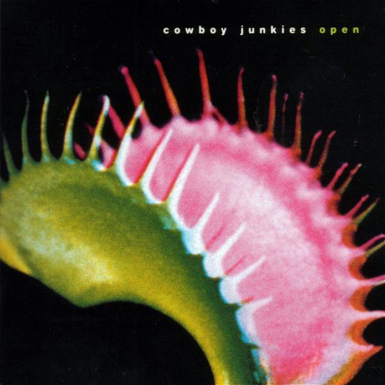 Cover for Cowboy Junkies · Open (LP) (2020)