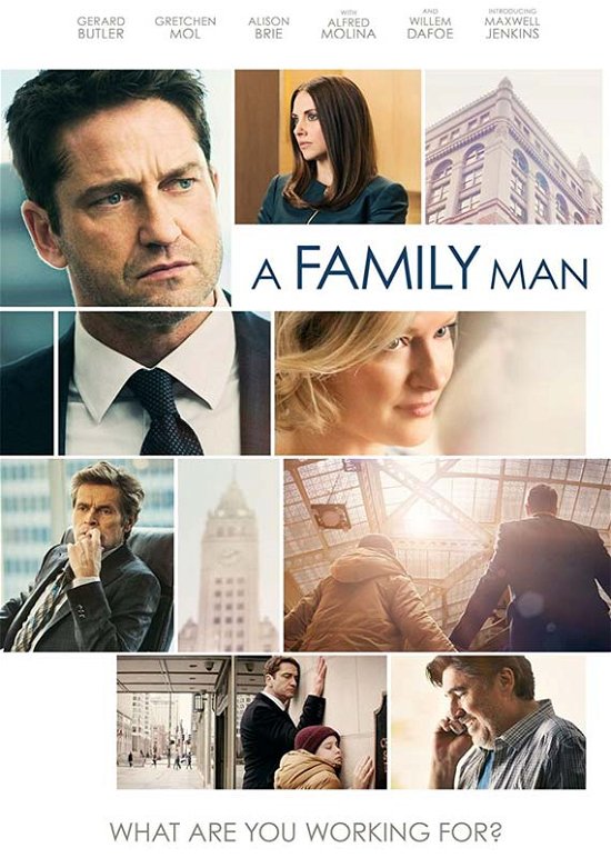 Cover for Alan Siegel · A Family Man (DVD) (2017)