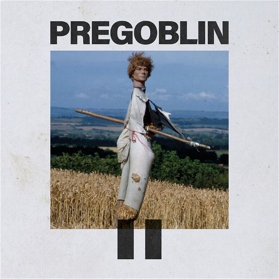 Pregoblin Ii - Pregoblin - Muziek - STRAP ORIGINALS - 8720765969009 - 8 maart 2024
