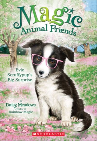 Cover for Daisy Meadows · Evie Scruffypup's Surprise (Hardcover Book) (2016)